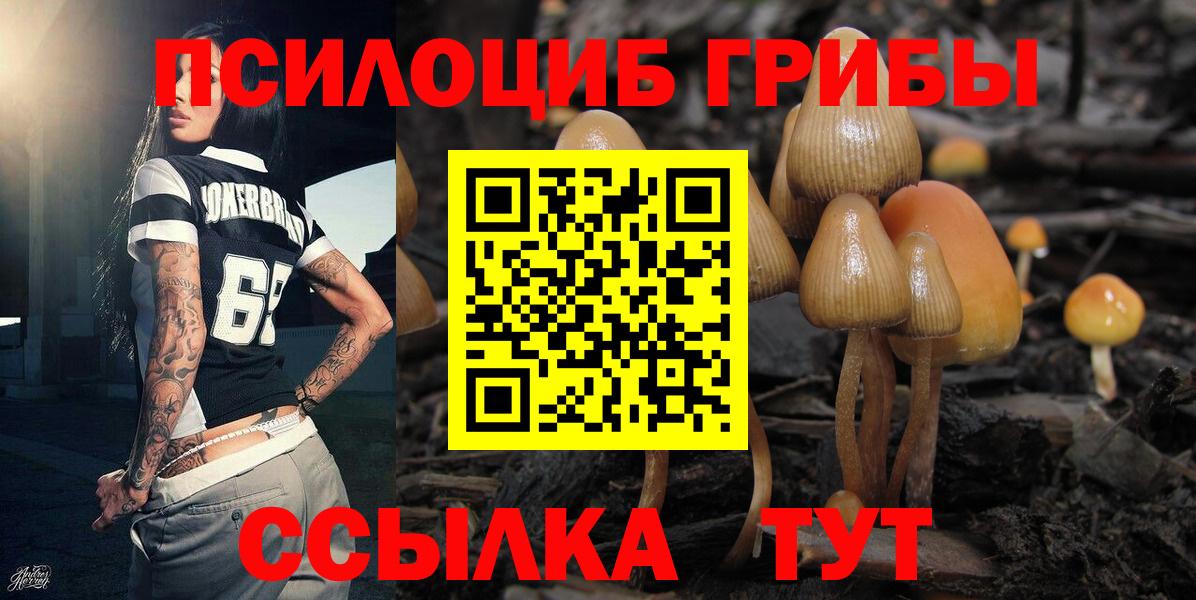 Псилоцибиновые грибы ЛСД  Вход с VPN  где можно купить   Сочи 
